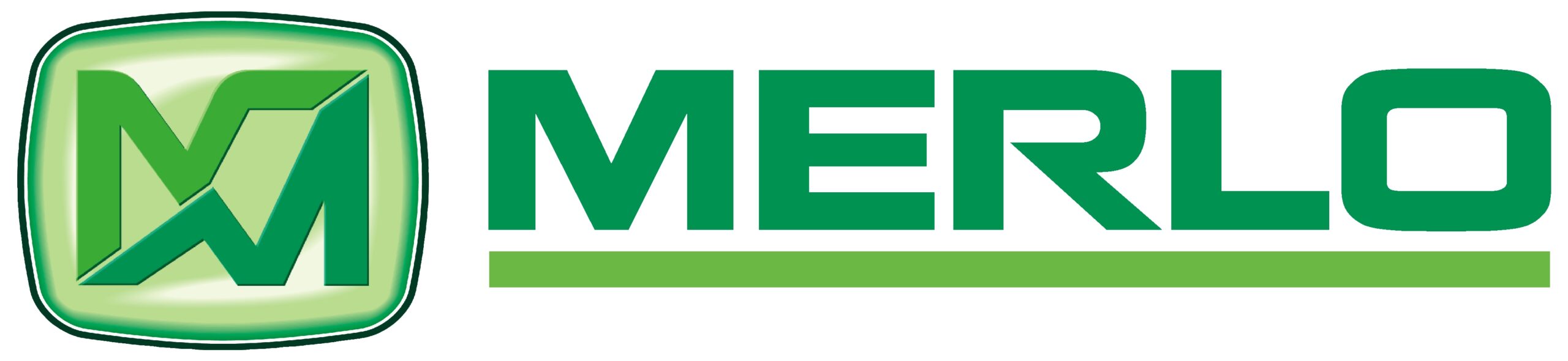 Logo MERLO